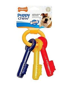 Nylabone Puppy Teething Keys