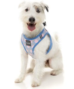 FuzzYard Step In Harness - Dippin'