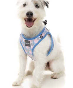 FuzzYard Step In Harness - Dippin'