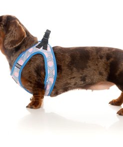 FuzzYard Step In Harness - Dippin'