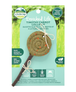 Oxbow Enriched Life - Carrot Lollipop Treats & Toy for Small Animals