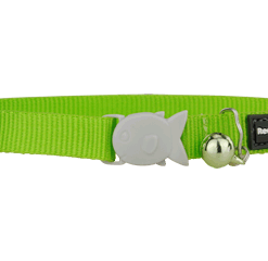 Red Dingo Cat Classic Collar - Lime Green
