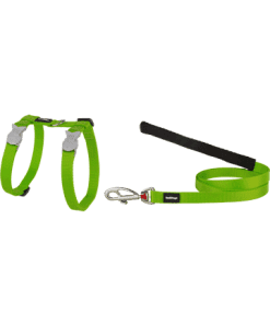 Red Dingo Cat Combo Classic - Harness & Lead - Lime Green