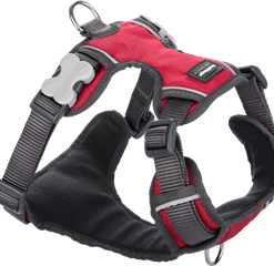 Red Dingo Padded Harness - Red