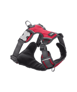 Red Dingo Padded Harness - Red