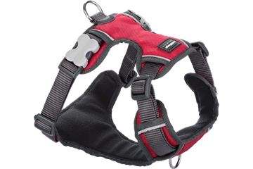 Red Dingo Padded Harness - Red