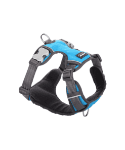 Red Dingo Padded Harness - Turquoise