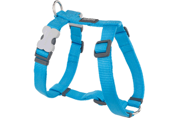 Red Dingo Classic Harness - Turquoise