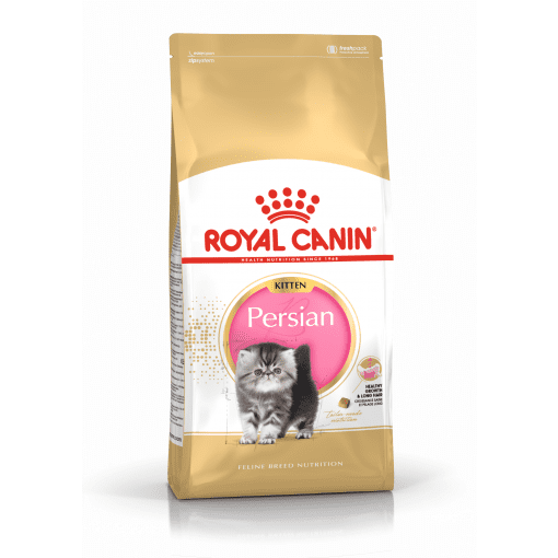 royal canin siamese dry food