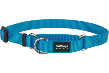 Red Dingo Martingale Half Check Collar - Turquoise