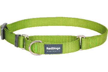 Martingale Collar Classic Lime Green