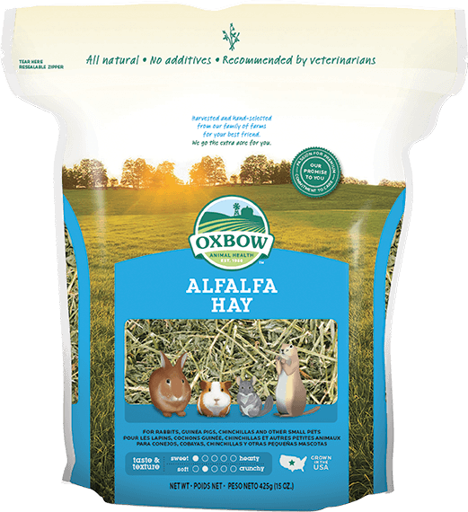 Oxbow Alfalfa Hay for Small Animals 15oz