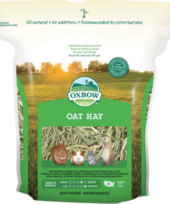 Oxbow Oat Hay for Small Animals 15oz
