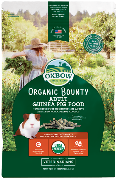 Oxbow Organic Bounty Food for Adult Guinea Pig