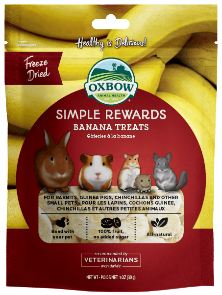 Oxbow Simple Rewards Banana Treats for Small Animals
