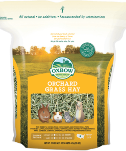 Oxbow Orchard Grass Hay for Small Animals