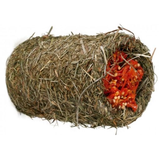 JR Farm Gourmet Tunnel – Carrots Small Animal Treats