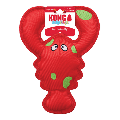 Kong shakers outlet dragon