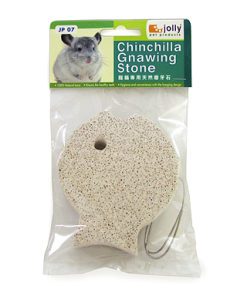 Jolly Chinchilla Gnawing Stone