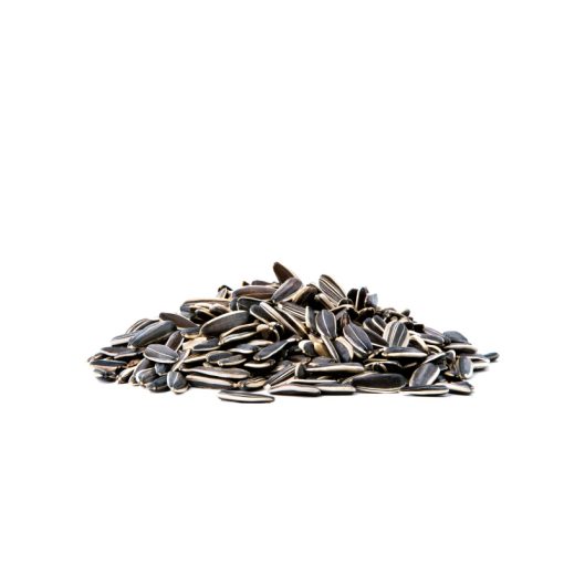 Jolly Xtra Bite Sunflower Seeds for Small Animals180g - Image 2