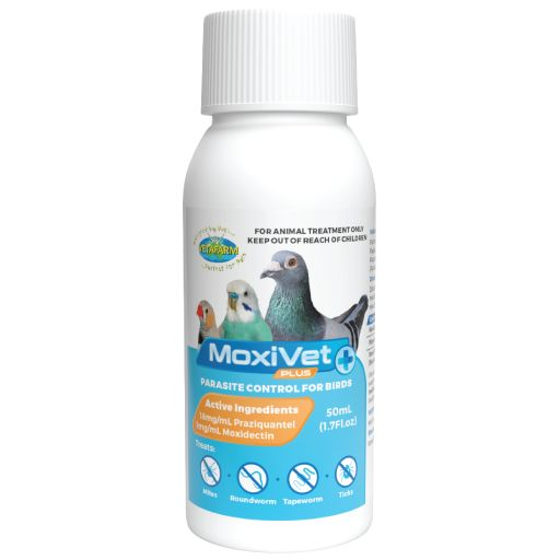 Moxivet Plus 50ml